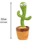 Cactus Bailarín con 120 canciones