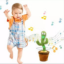 Cactus Bailarín con 120 canciones