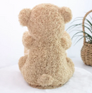 Peek-a-Bear I Osito Interactivo Escondite